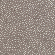 Charlotte - D3761 - Greystone - Fabric by the Yard Greystone