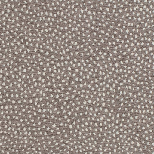 Charlotte - D3761 - Greystone - Fabric by the Yard Greystone
