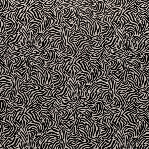 Charlotte - D3770 - Black - Fabric by the Yard Black