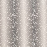 Charlotte - D3779 - Shadow - Fabric by the Yard
