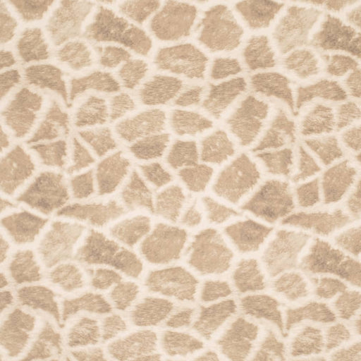 Charlotte - D3785 - Buff - Fabric by the Yard Buff