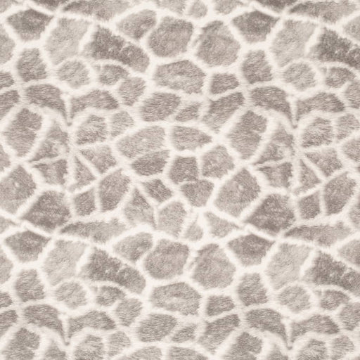 Charlotte - D3787 - Stone - Fabric by the Yard Stone