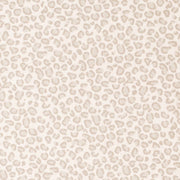 Charlotte - D3788 - Ivory - Fabric by the Yard Ivory