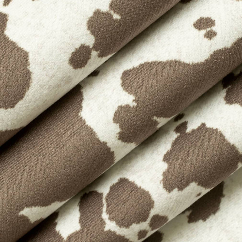 Charlotte - D3792 - Coffee - Fabric by the Yard - D3792 - D3792_Rolled