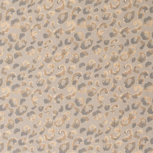 Charlotte - D3795 - Pebble - Fabric by the Yard Pebble