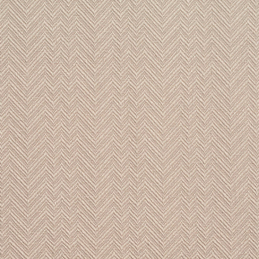 Charlotte - D379 - Taupe - Fabric by the Yard Taupe