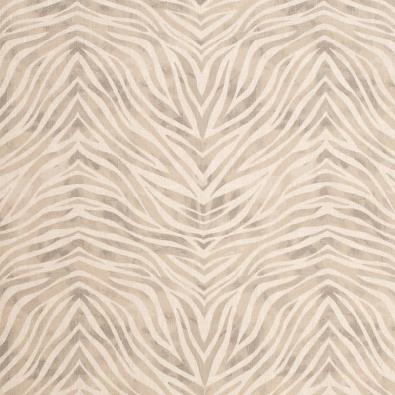 Charlotte - D3800 - Dove - Fabric by the Yard Dove