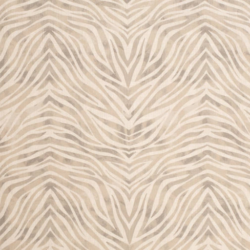 Charlotte - D3800 - Dove - Fabric by the Yard Dove