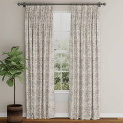 Charlotte - D3802 - Ash - Fabric by the Yard - D3802 - D3802_Drapery