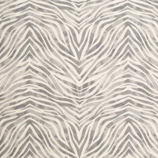 Charlotte - D3802 - Ash - Fabric by the Yard Ash