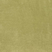 Charlotte - D3816 - Avocado - Fabric by the Yard Avocado