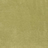 Charlotte - D3816 - Avocado - Fabric by the Yard