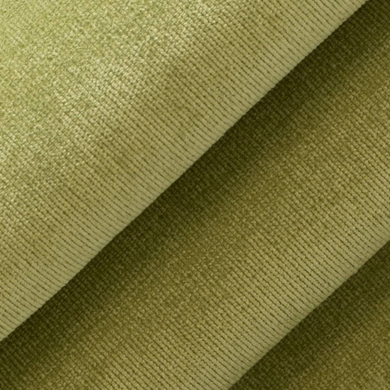 Charlotte - D3816 - Avocado - Fabric by the Yard - D3816 - D3816_Rolled