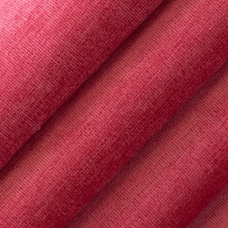 Charlotte - D3826 - Punch - Fabric by the Yard - D3826 - D3826_Rolled
