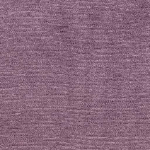 Charlotte - D3827 - Mulberry - Fabric by the Yard Mulberry