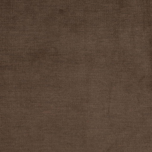 Charlotte - D3832 - Chocolate - Fabric by the Yard Chocolate