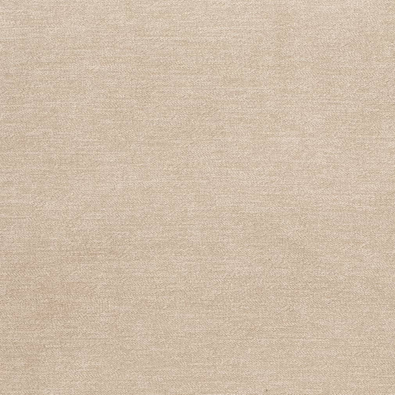 Charlotte - D3835 - Fog - Fabric by the Yard Fog