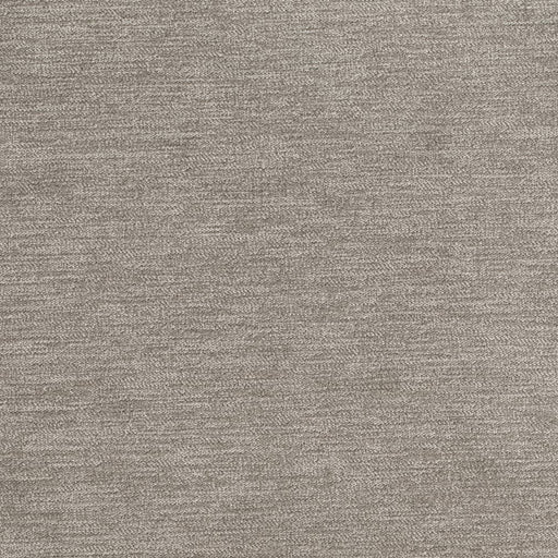 Charlotte - D3837 - Pigeon - Fabric by the Yard Pigeon