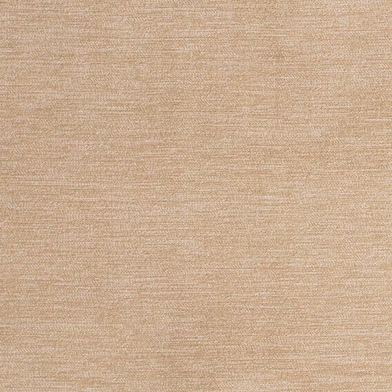 Charlotte - D3840 - Harvest - Fabric by the Yard Harvest