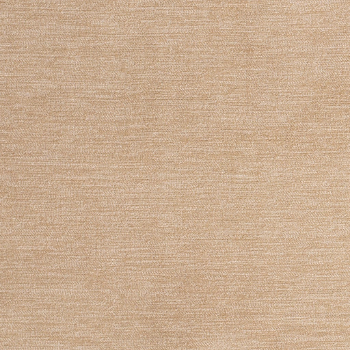 Charlotte - D3840 - Harvest - Fabric by the Yard Harvest