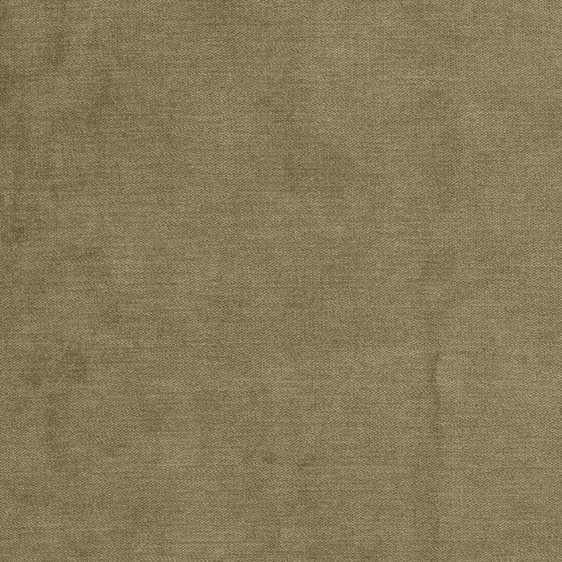 Charlotte - D3844 - Willow - Fabric by the Yard Willow