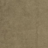 Charlotte - D3844 - Willow - Fabric by the Yard