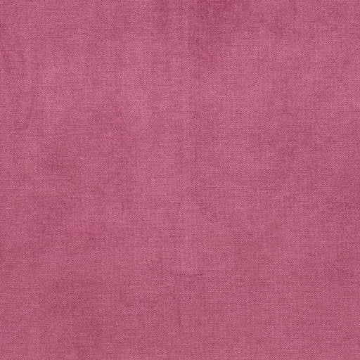 Charlotte - D3849 - Fuchsia - Fabric by the Yard Fuchsia