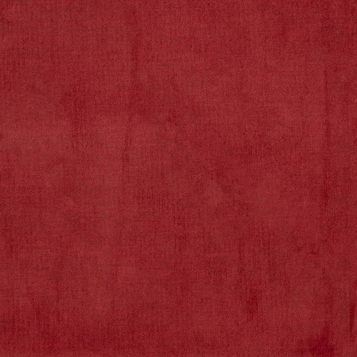 Charlotte - D3852 - Cherry - Fabric by the Yard Cherry