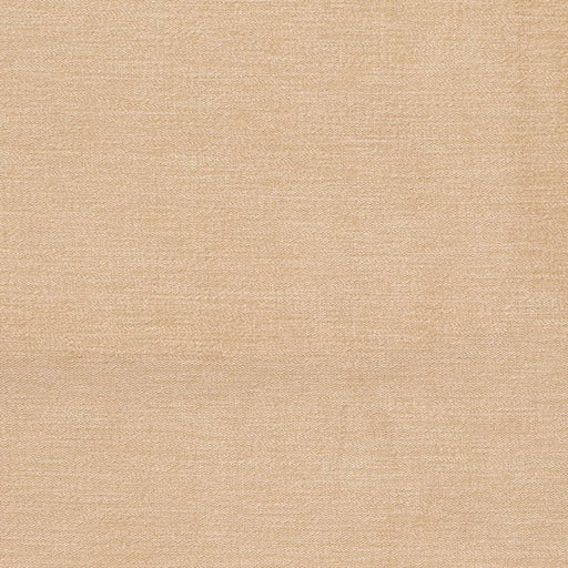 Charlotte - D3853 - Natural - Fabric by the Yard Natural