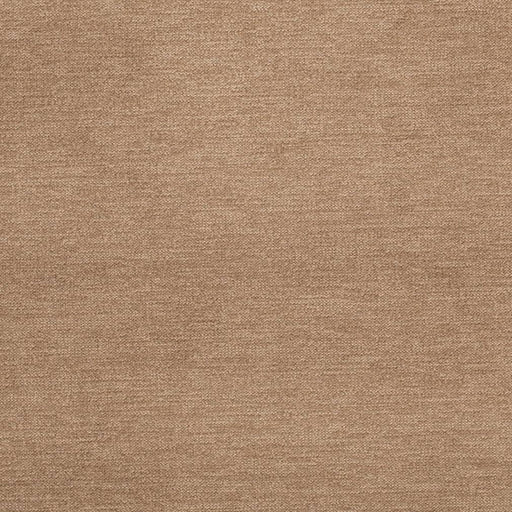 Charlotte - D3857 - Golden - Fabric by the Yard Golden