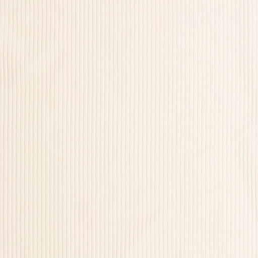 Charlotte - D3879 - Cotton - Fabric by the Yard Cotton