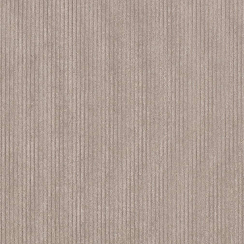 Charlotte - D3881 - Stone - Fabric by the Yard Stone