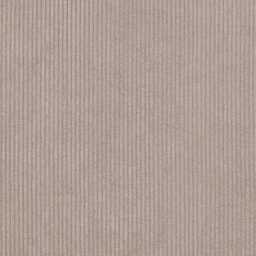 Charlotte - D3881 - Stone - Fabric by the Yard Stone