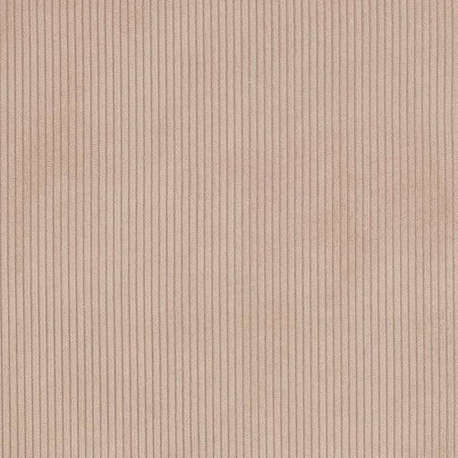 Charlotte - D3882 - Sand - Fabric by the Yard Sand
