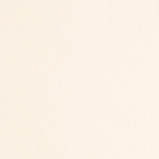 Charlotte - D3885 - Eggshell - Fabric by the Yard Eggshell