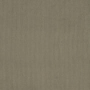 Charlotte - D3887 - Sage - Fabric by the Yard Sage