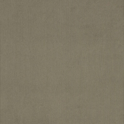 Charlotte - D3887 - Sage - Fabric by the Yard Sage