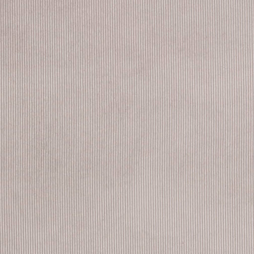 Charlotte - D3888 - Fog - Fabric by the Yard Fog