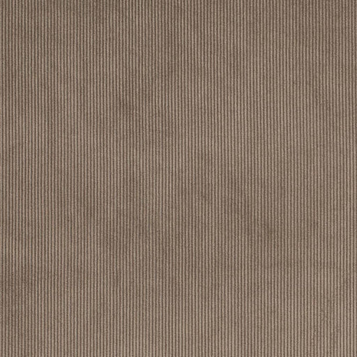 Charlotte - D3891 - Mushroom - Fabric by the Yard Mushroom