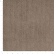 Charlotte - D3891 - Mushroom - Fabric by the Yard - D3891 - D3891_Ruler