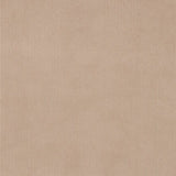 Charlotte - D3895 - Taupe - Fabric by the Yard