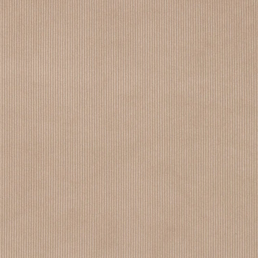 Charlotte - D3895 - Taupe - Fabric by the Yard Taupe