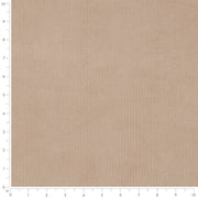 Charlotte - D3895 - Taupe - Fabric by the Yard - D3895 - D3895_Ruler