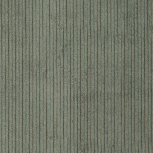 Charlotte - D3898 - Clover - Fabric by the Yard Clover