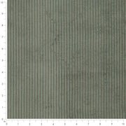 Charlotte - D3898 - Clover - Fabric by the Yard - D3898 - D3898_Ruler