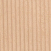 Charlotte - D3899 - Beige - Fabric by the Yard Beige