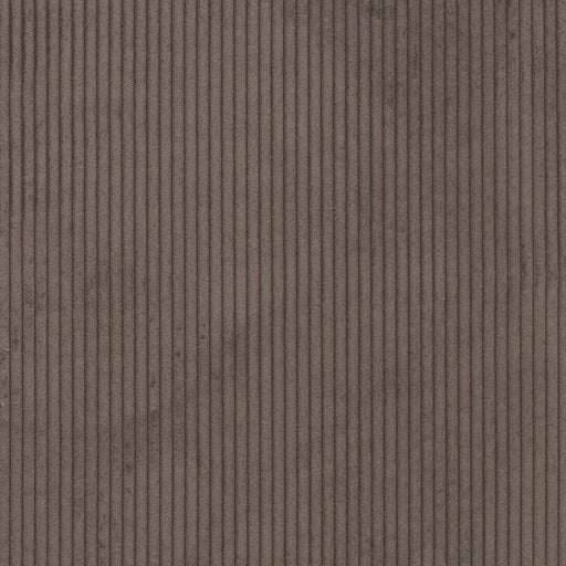 Charlotte - D3900 - Coffee - Fabric by the Yard Coffee