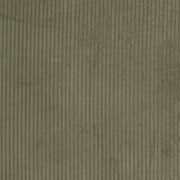 Charlotte - D3901 - Pine - Fabric by the Yard Pine