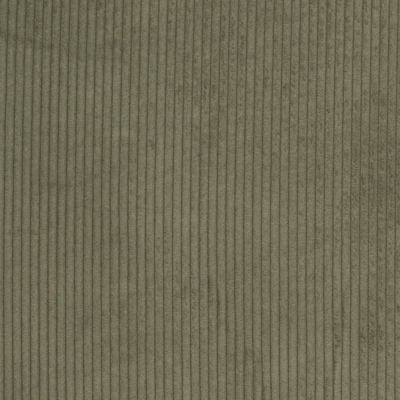 Charlotte - D3901 - Pine - Fabric by the Yard Pine