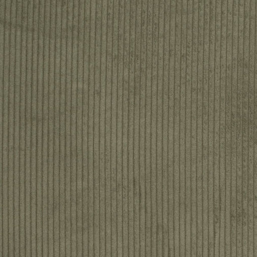 Charlotte - D3901 - Pine - Fabric by the Yard Pine